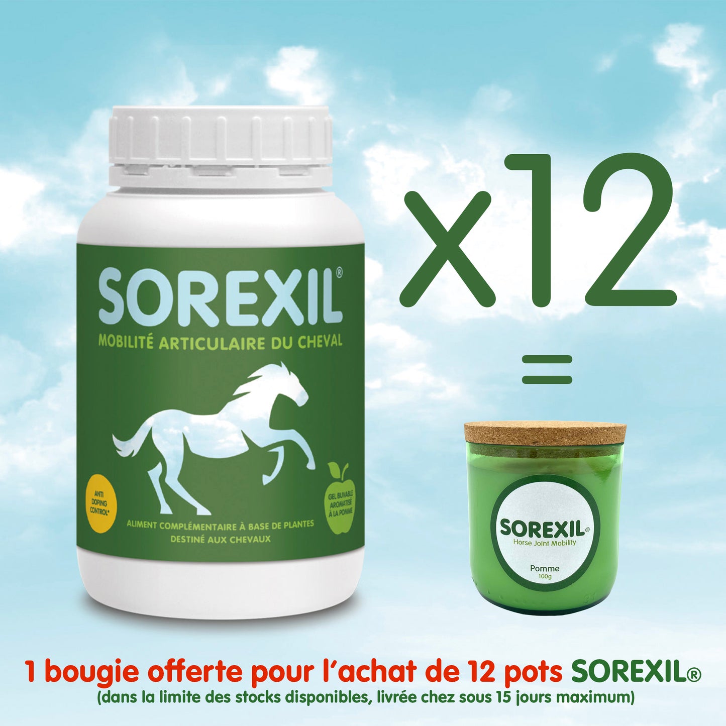 SOREXIL®- Lot de 12 pots + 1 Bougie Offerte!
