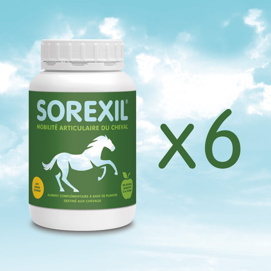 SOREXIL - Lot de 6 pots