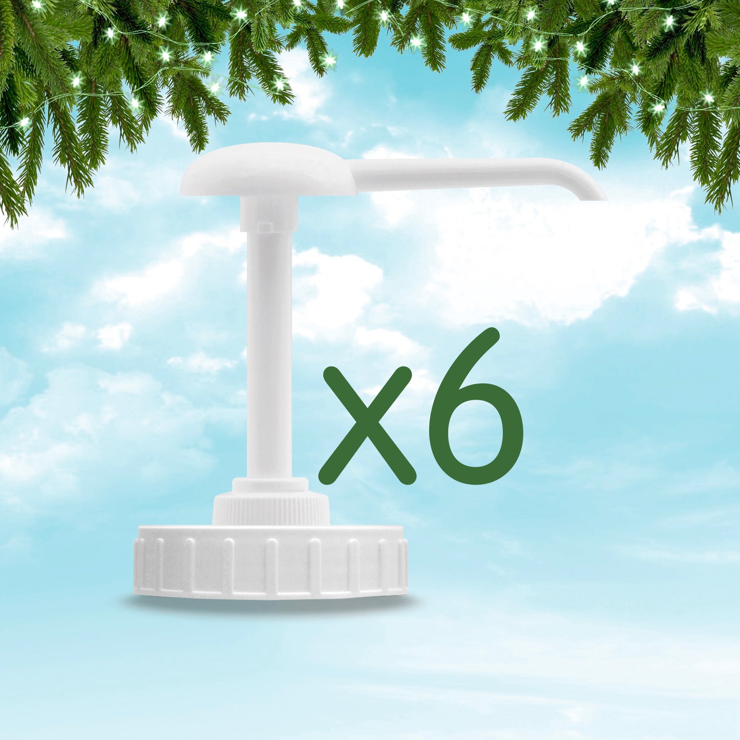 Pompes de dosage - Lot de 6