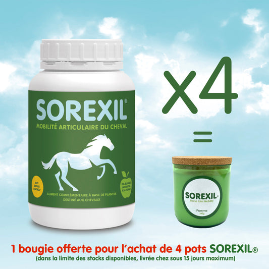 SOREXIL® - Lot de 4 pots + 1 Bougie offerte !