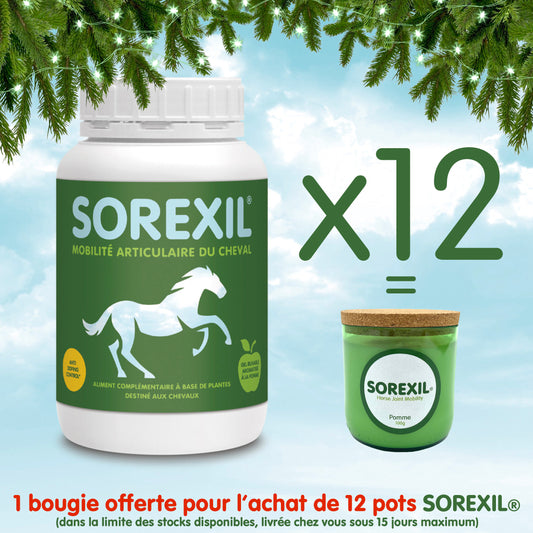 SOREXIL®- Lot de 12 pots + 1 Bougie Offerte !