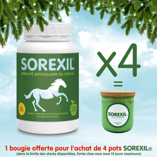 SOREXIL® - Lot de 4 pots + 1 Bougie offerte !