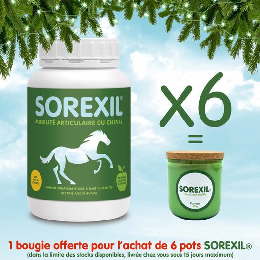 SOREXIL® - Lot de 6 pots + 1 Bougie offerte !