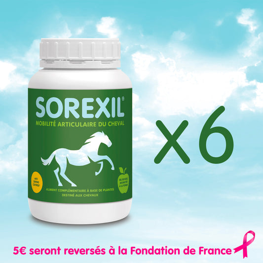 SOREXIL® - Lot de 6 pots